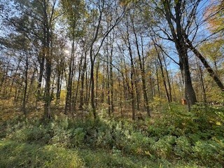 2728 28 3/8 Street Birchwood WI 54817 - Red Cedar 1596203 image25