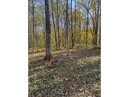 2728 28 3/8 Street Birchwood WI 54817 - Red Cedar 1596203 image5