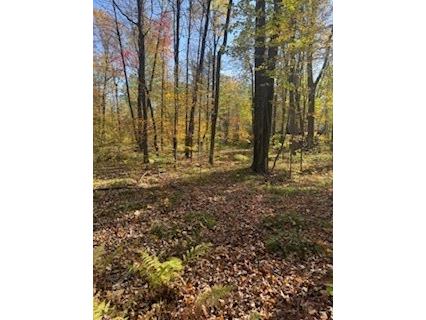 2728 28 3/8 Street Birchwood WI 54817 - Red Cedar 1596203 image7