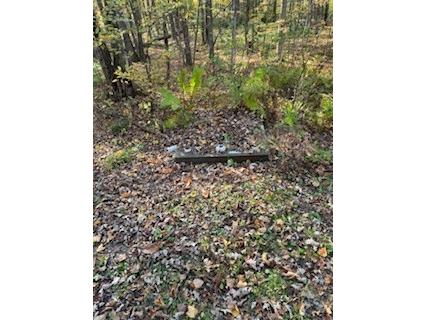 2728 28 3/8 Street Birchwood WI 54817 - Red Cedar 1596203 image8