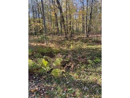 2728 28 3/8 Street Birchwood WI 54817 - Red Cedar 1596203 image9