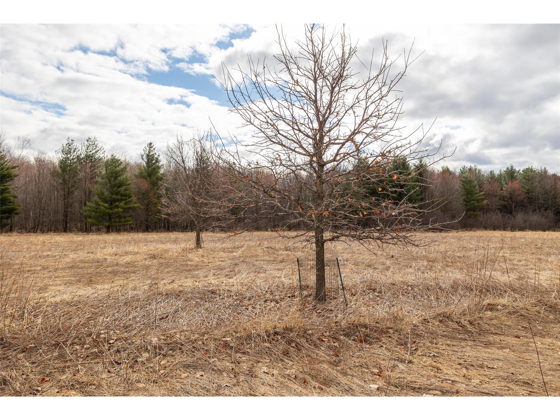 2742 N Pray Avenue Neillsville WI 54456 1599865 image12