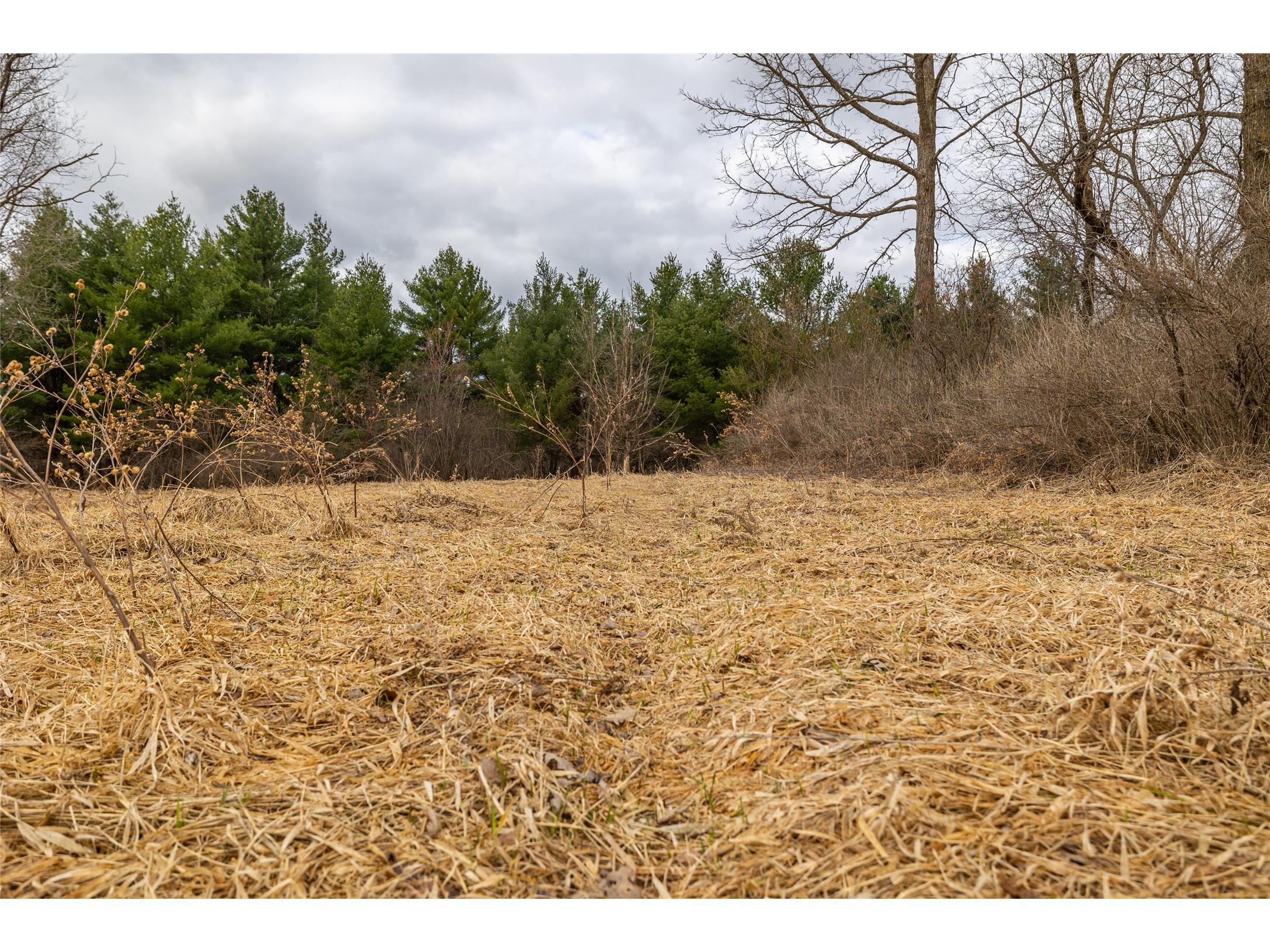 2742 N Pray Avenue Neillsville WI 54456 1599865 image8