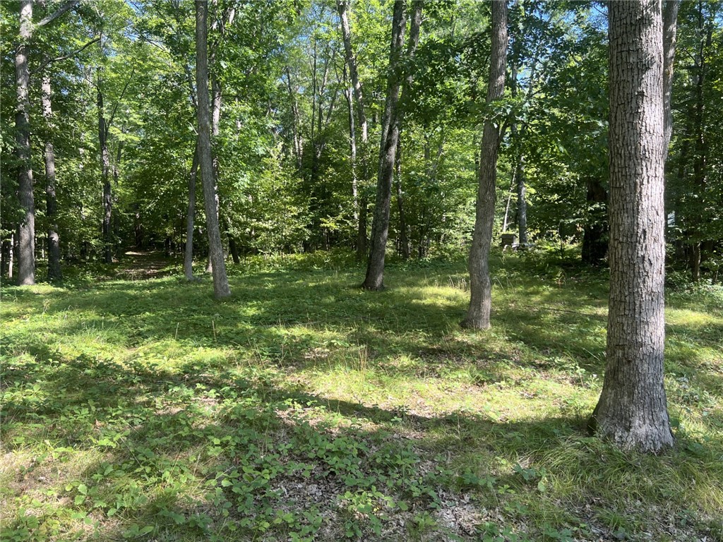 27457 Shake Lane Webster WI 54893 - Dubois Lake 1595042 image15