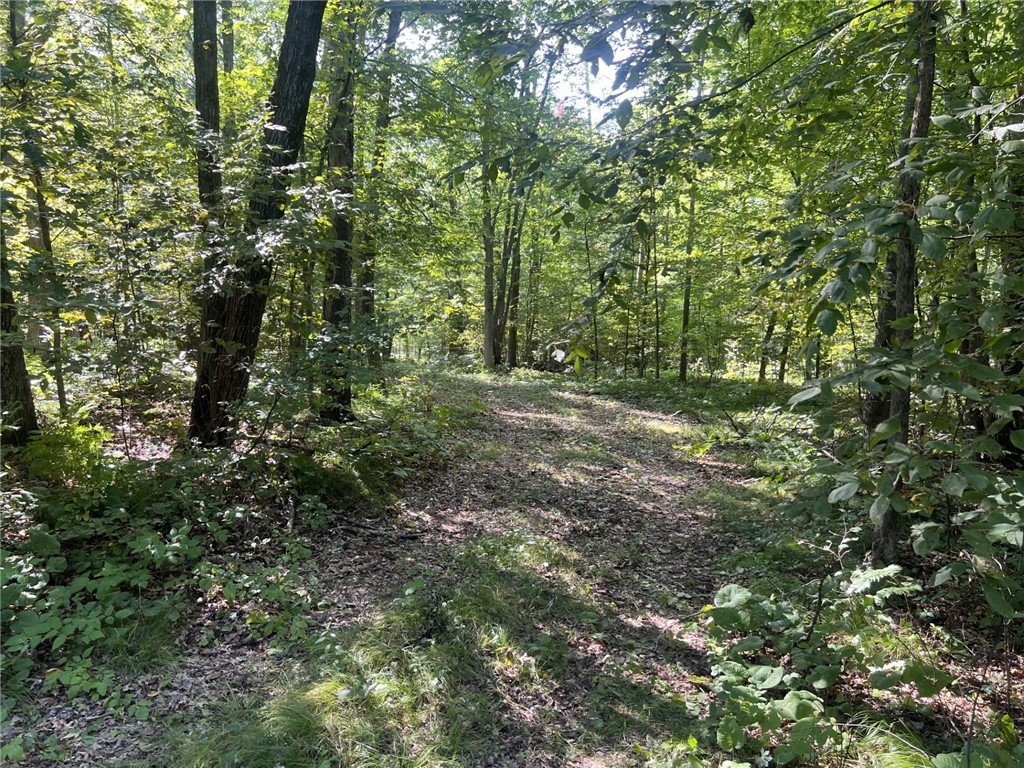 27457 Shake Lane Webster WI 54893 - Dubois Lake 1595042 image16