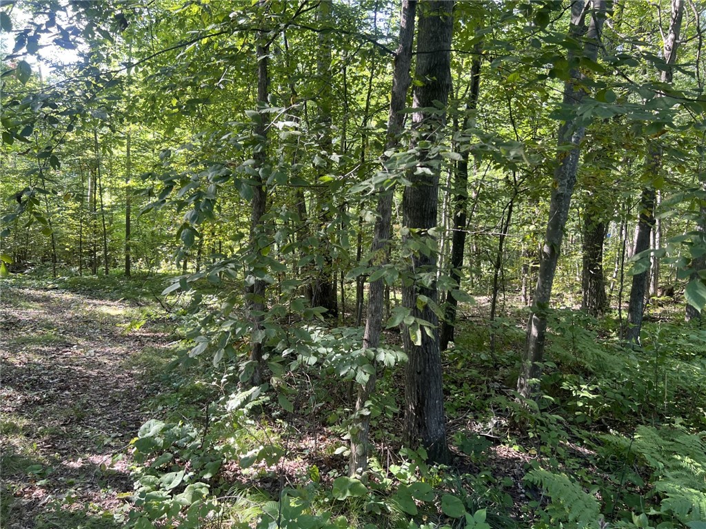 27457 Shake Lane Webster WI 54893 - Dubois Lake 1595042 image17