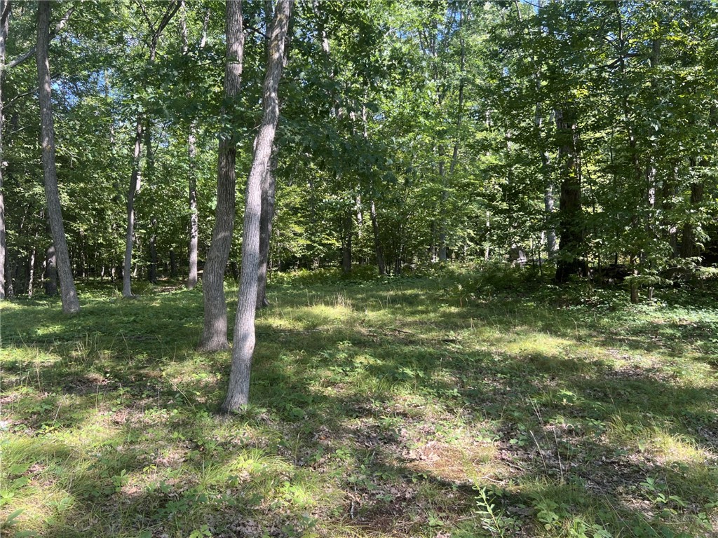 27457 Shake Lane Webster WI 54893 - Dubois Lake 1595042 image5