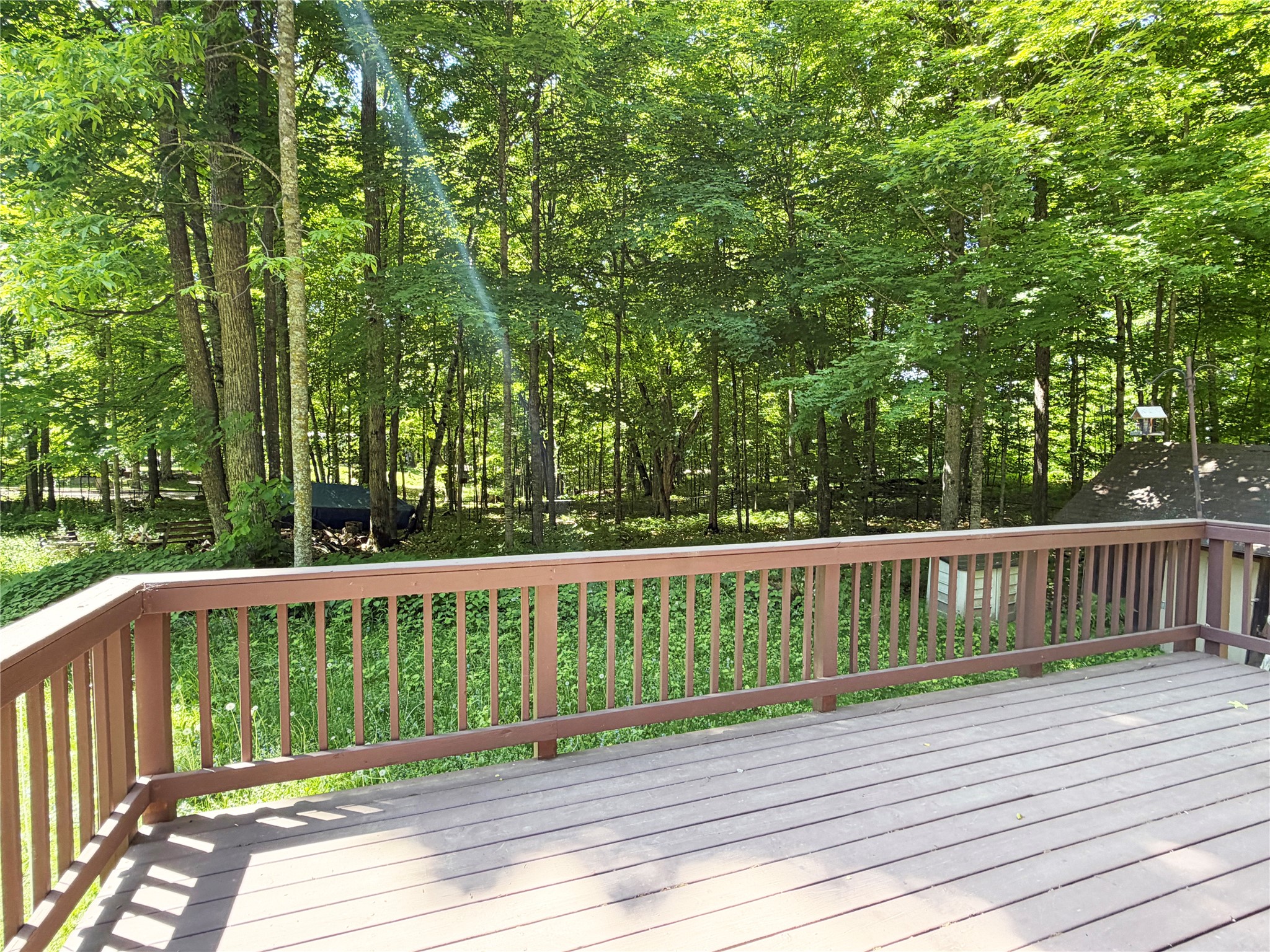 2756 28 1/8 Street Birchwood WI 54817 - Red Cedar 1598298 image3