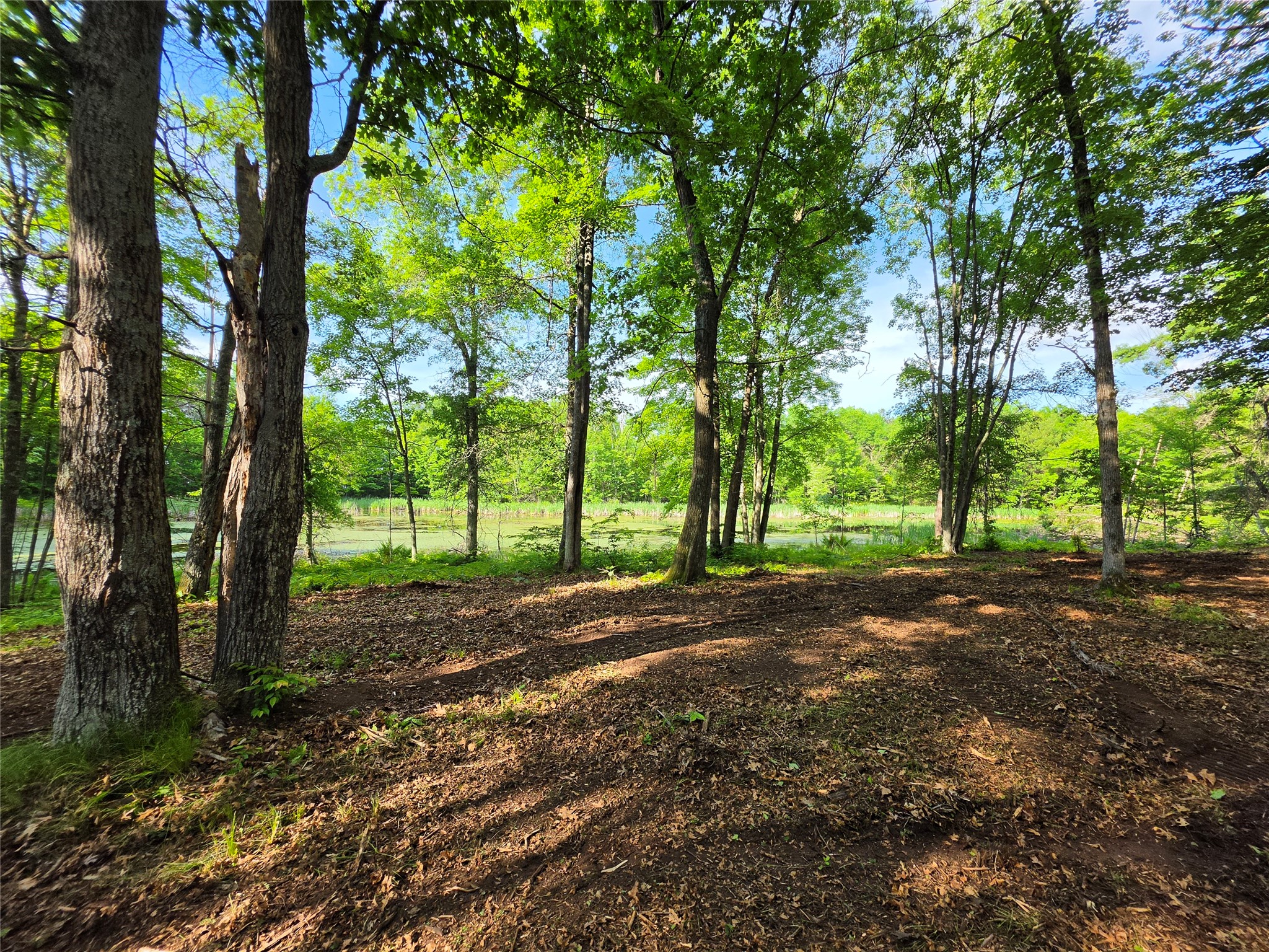 27646 295th (Lot 14) Avenue Holcombe WI 54745 1602155 image10