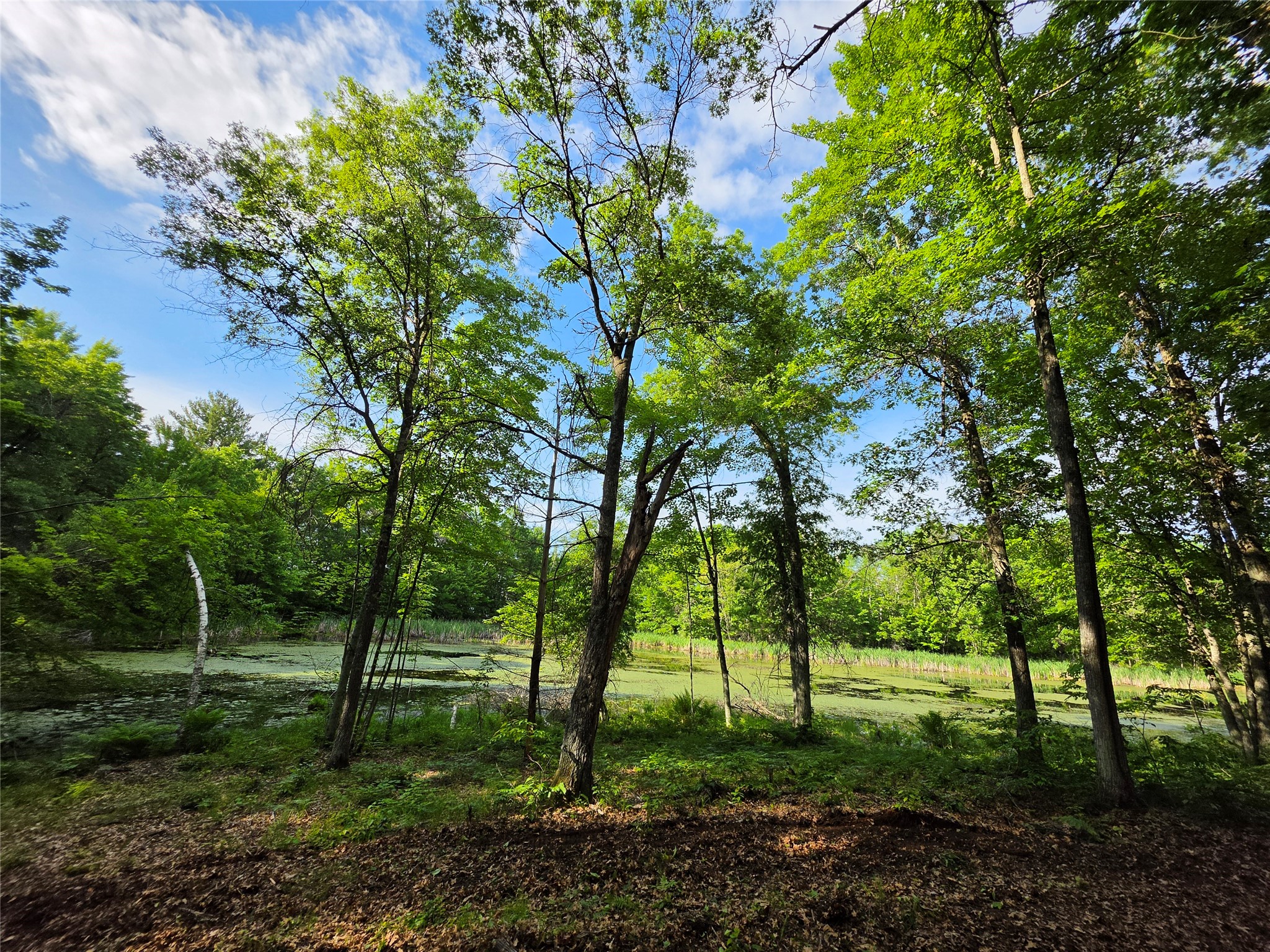 27646 295th (Lot 14) Avenue Holcombe WI 54745 1602155 image11