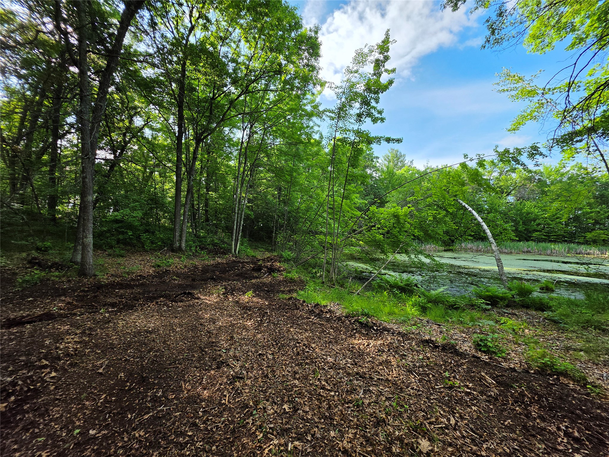 27646 295th (Lot 14) Avenue Holcombe WI 54745 1602155 image12