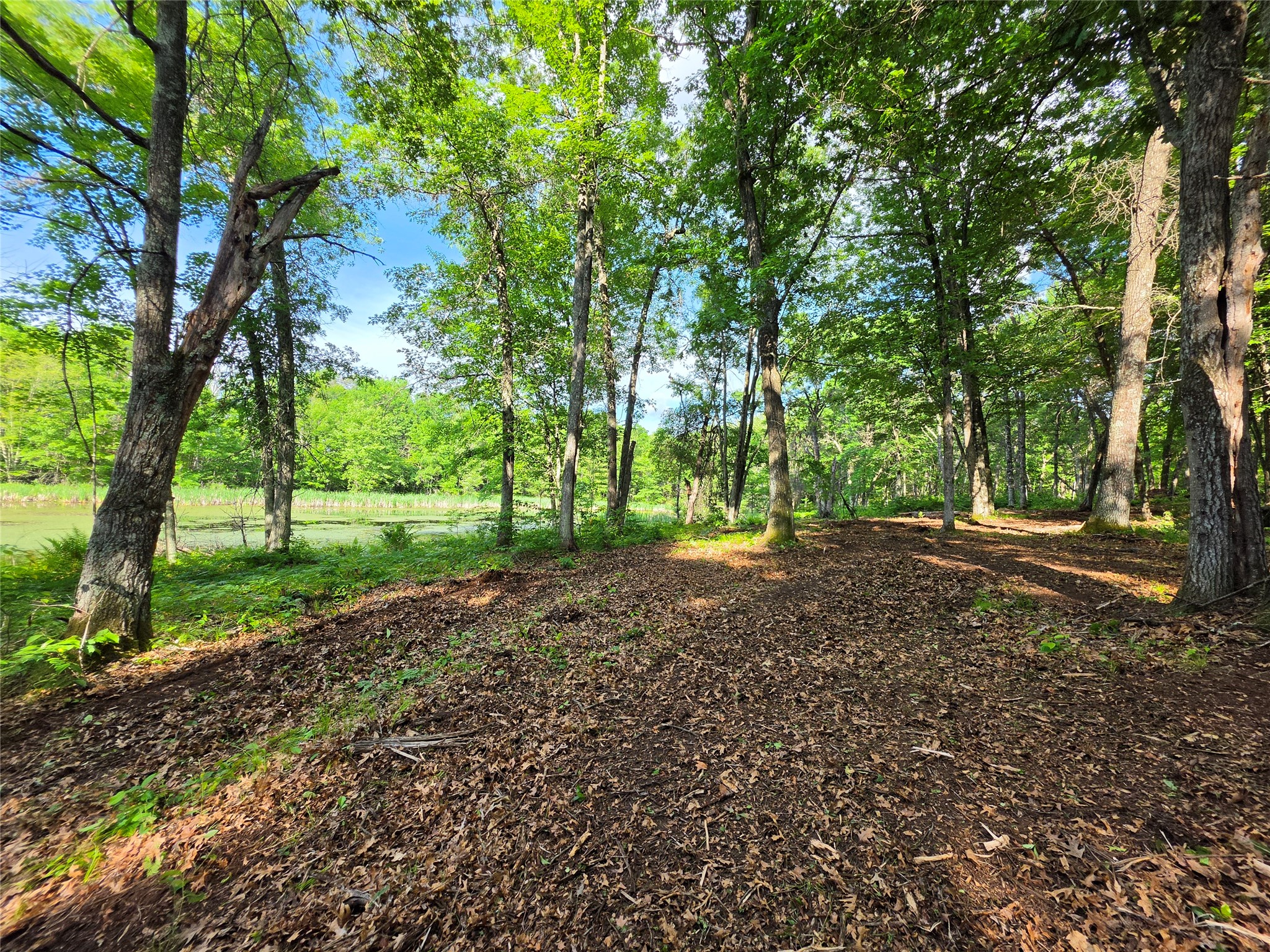 27646 295th (Lot 14) Avenue Holcombe WI 54745 1602155 image13