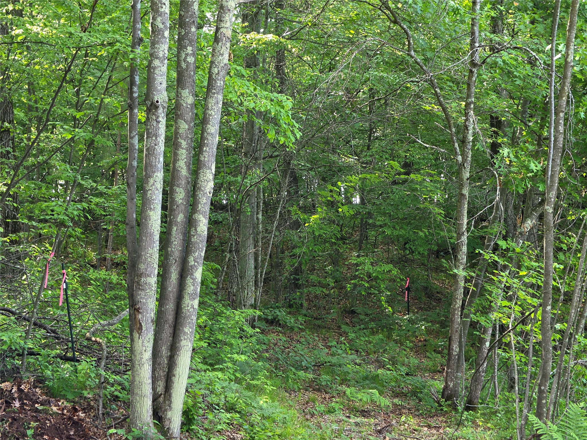 27646 295th (Lot 14) Avenue Holcombe WI 54745 1602155 image14