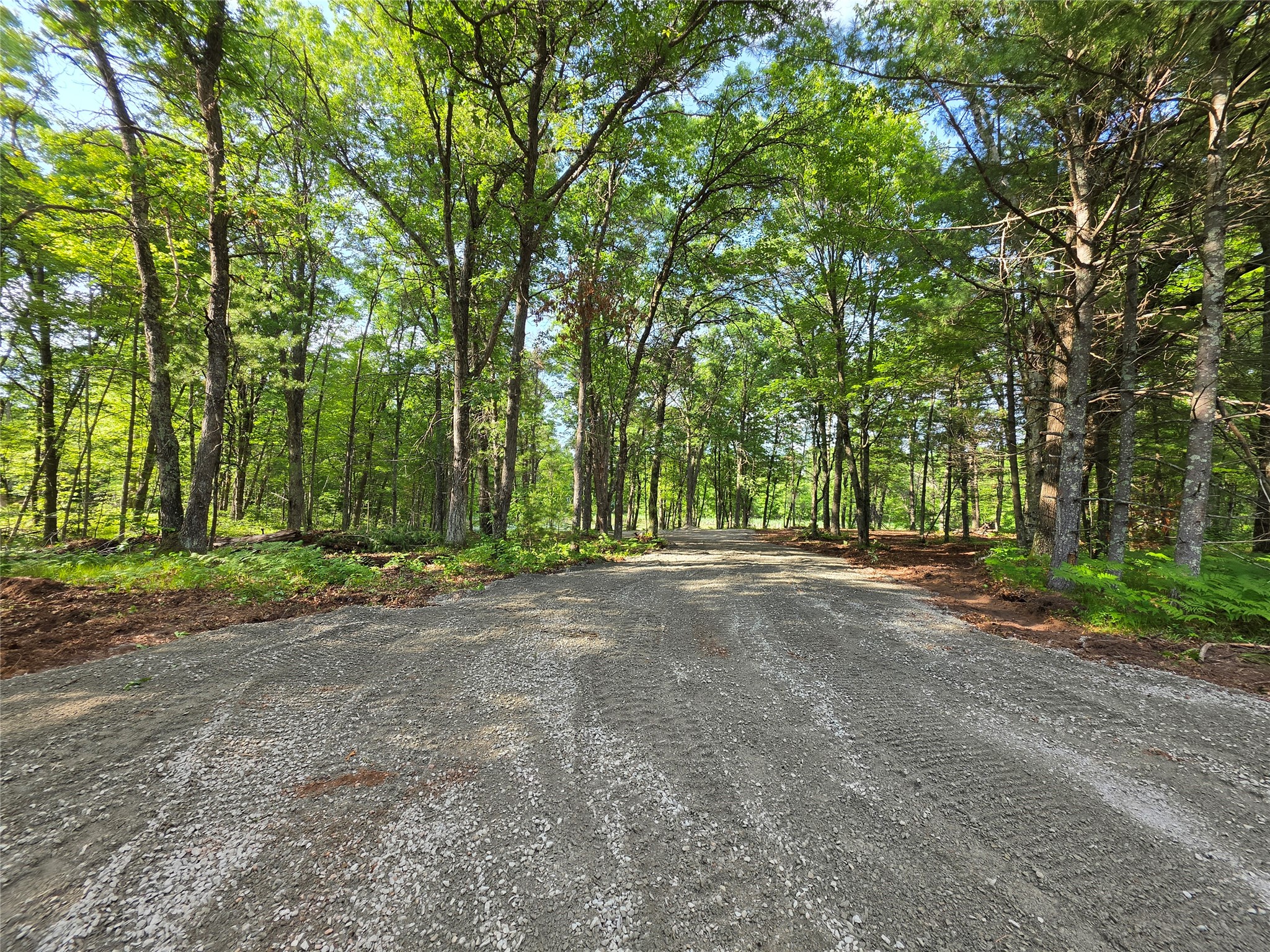 27646 295th (Lot 14) Avenue Holcombe WI 54745 1602155 image2