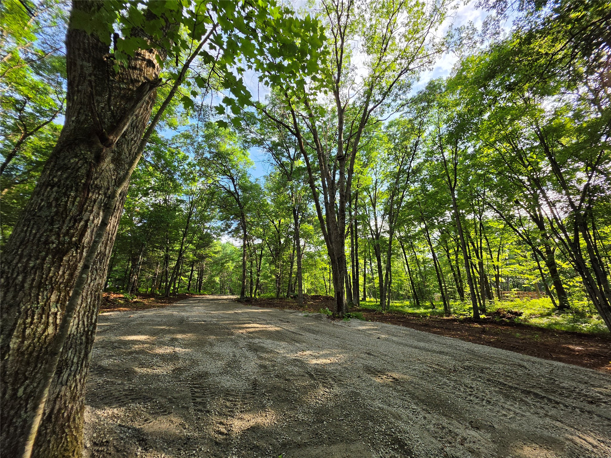27646 295th (Lot 14) Avenue Holcombe WI 54745 1602155 image5