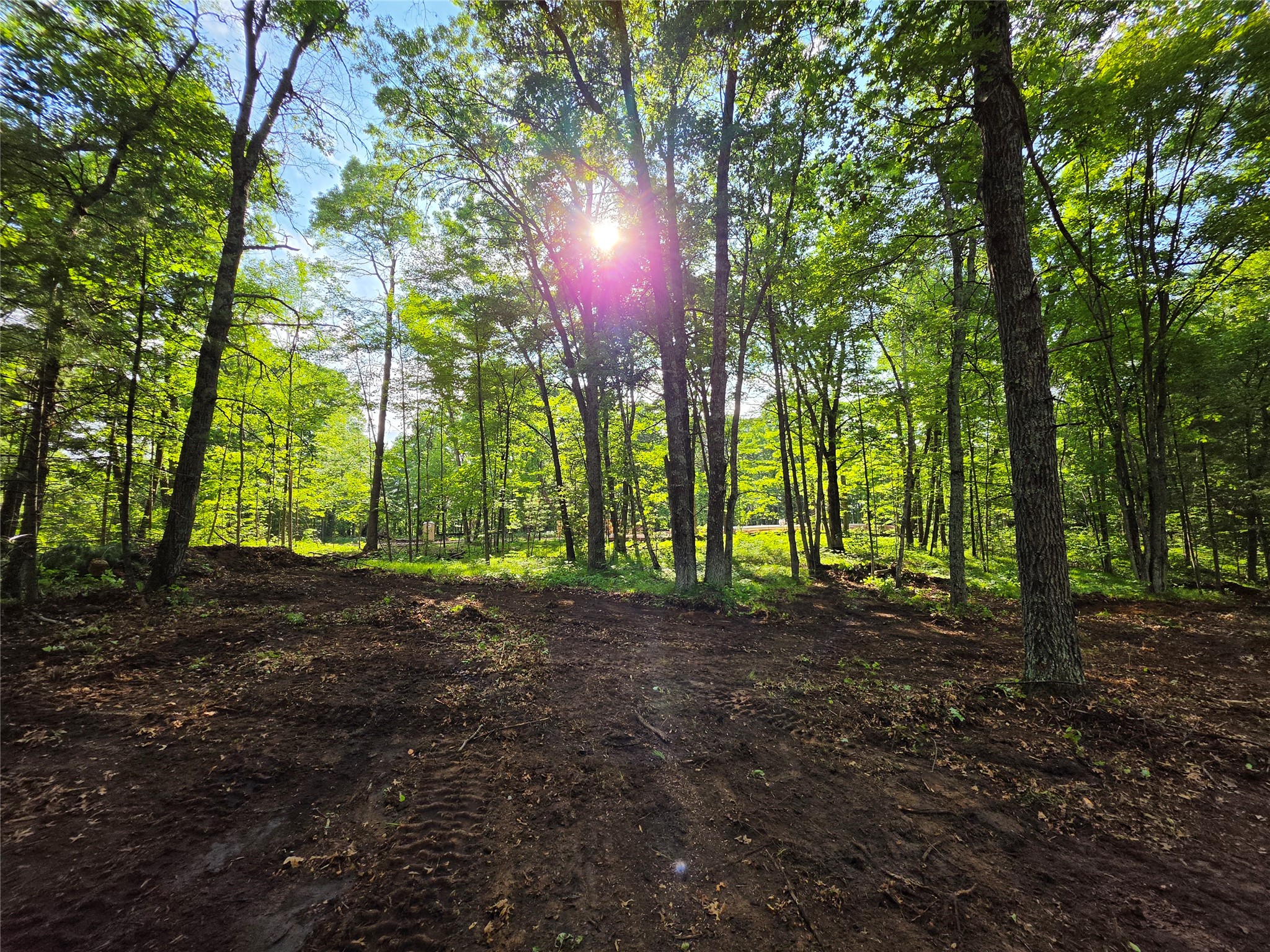 27646 295th (Lot 14) Avenue Holcombe WI 54745 1602155 image6