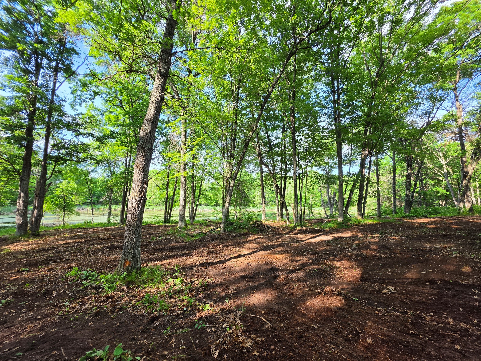 27646 295th (Lot 14) Avenue Holcombe WI 54745 1602155 image8