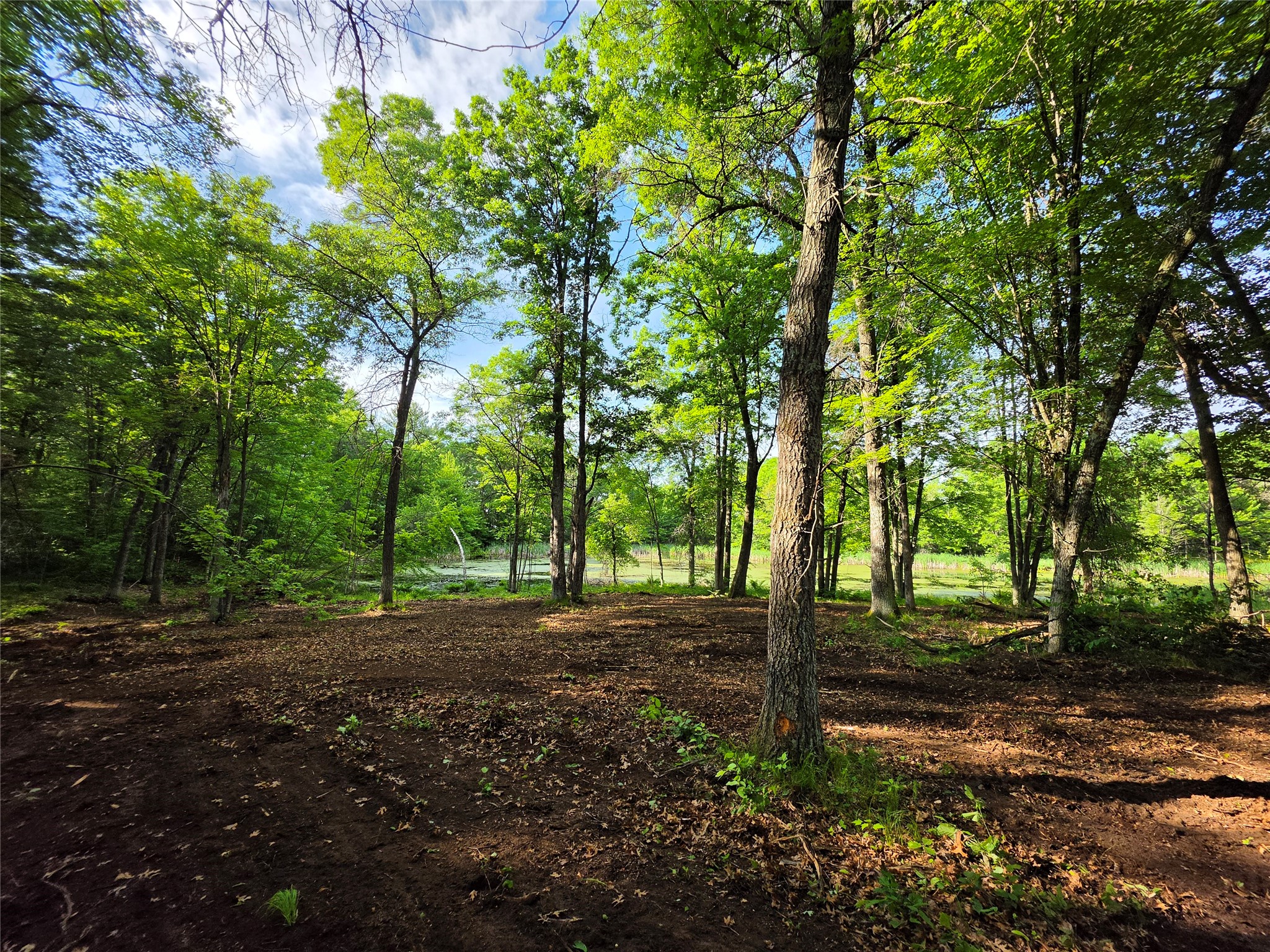 27646 295th (Lot 14) Avenue Holcombe WI 54745 1602155 image9