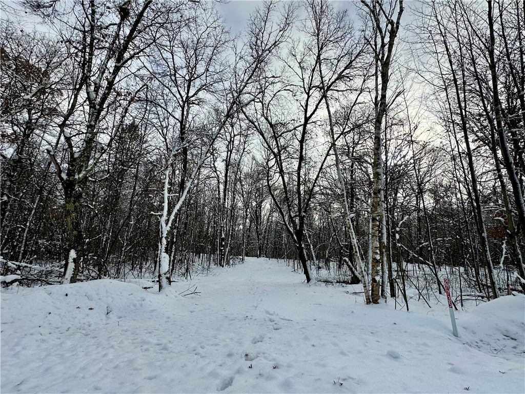 27735 295th Avenue Holcombe WI 54745 1597799 image10