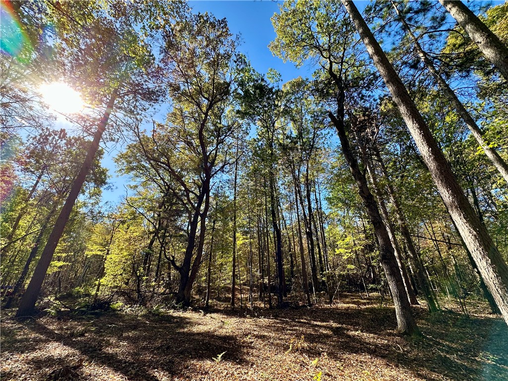 27735 295th Avenue Holcombe WI 54745 1597799 image11