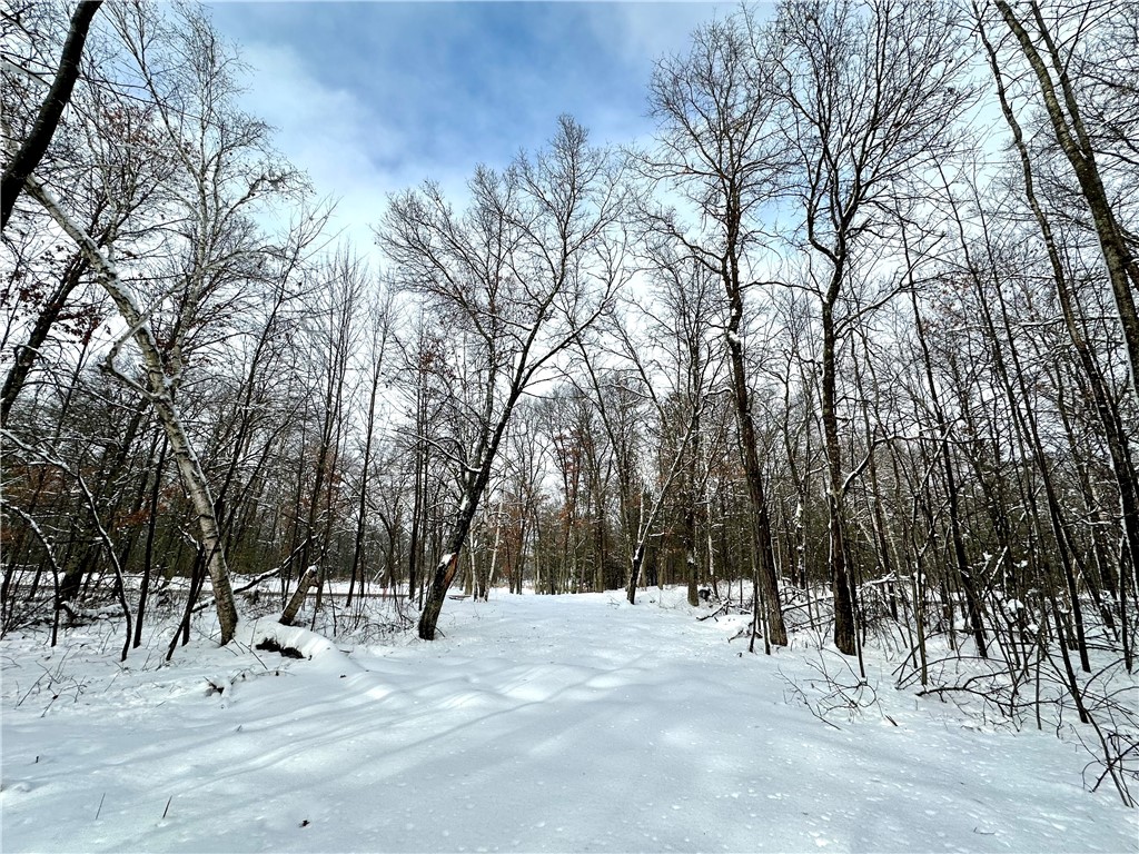 27735 295th Avenue Holcombe WI 54745 1597799 image13