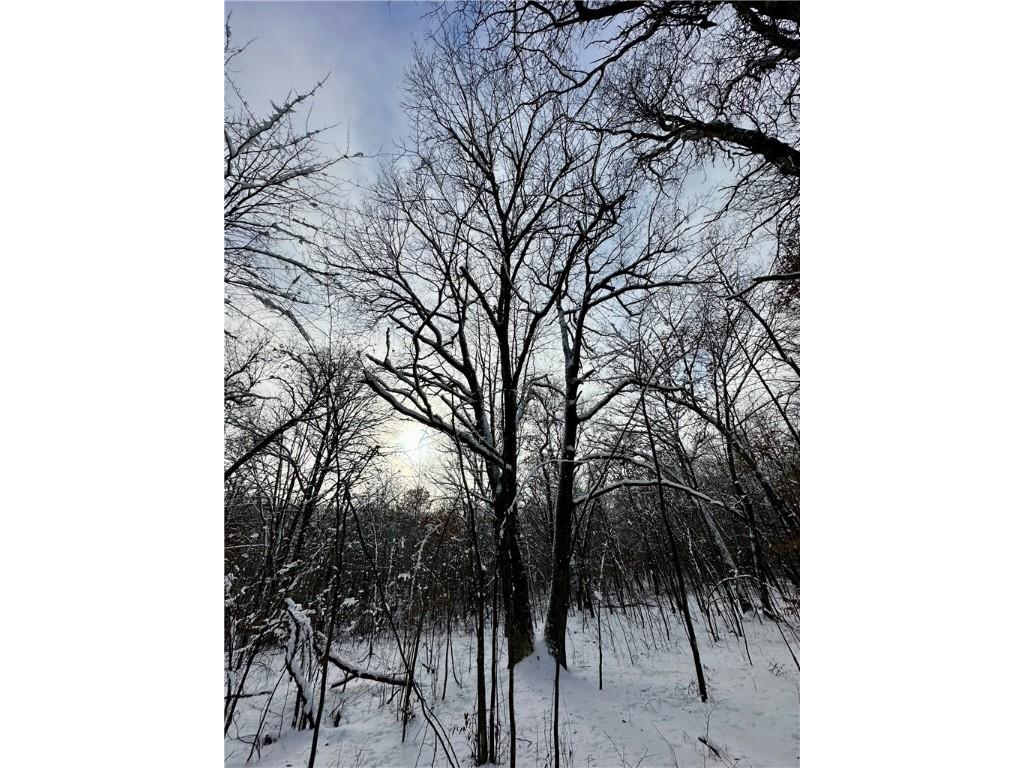 27735 295th Avenue Holcombe WI 54745 1597799 image15