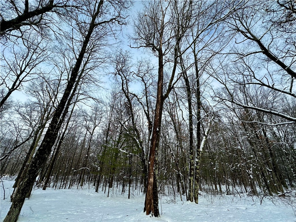 27735 295th Avenue Holcombe WI 54745 1597799 image16