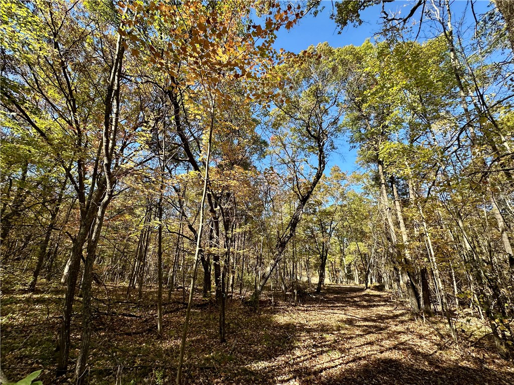 27735 295th Avenue Holcombe WI 54745 1597799 image17