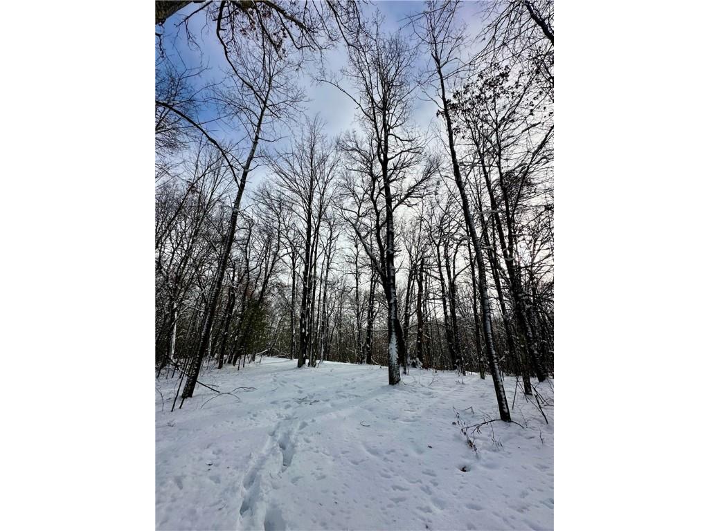 27735 295th Avenue Holcombe WI 54745 1597799 image18