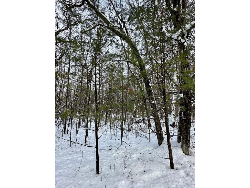 27735 295th Avenue Holcombe WI 54745 1597799 image19