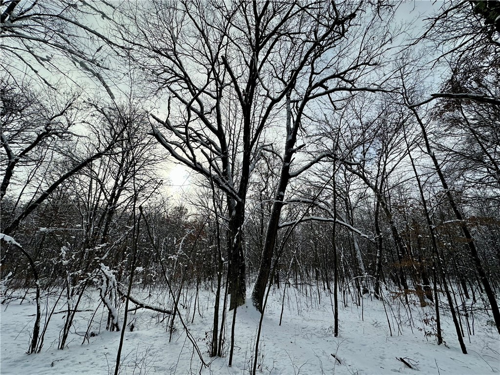 27735 295th Avenue Holcombe WI 54745 1597799 image20