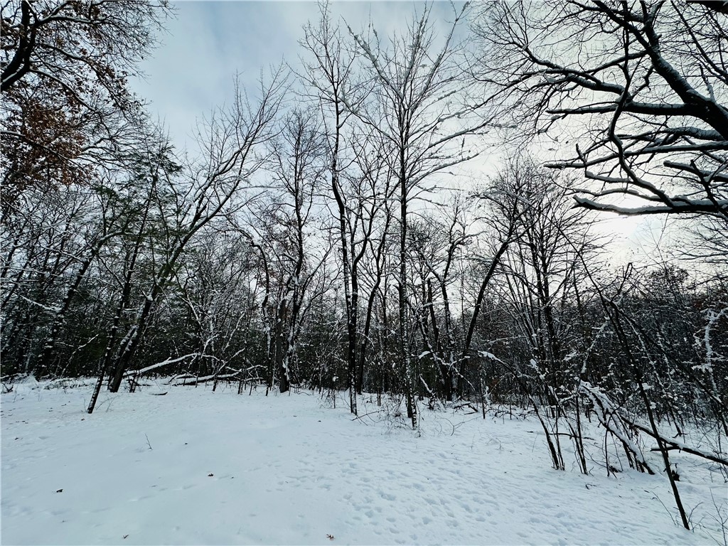 27735 295th Avenue Holcombe WI 54745 1597799 image21