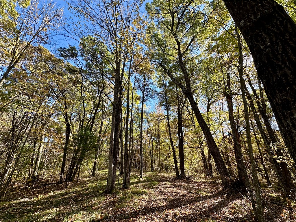 27735 295th Avenue Holcombe WI 54745 1597799 image22