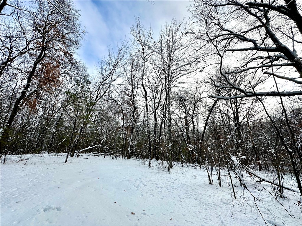 27735 295th Avenue Holcombe WI 54745 1597799 image23