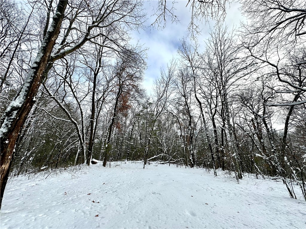 27735 295th Avenue Holcombe WI 54745 1597799 image24