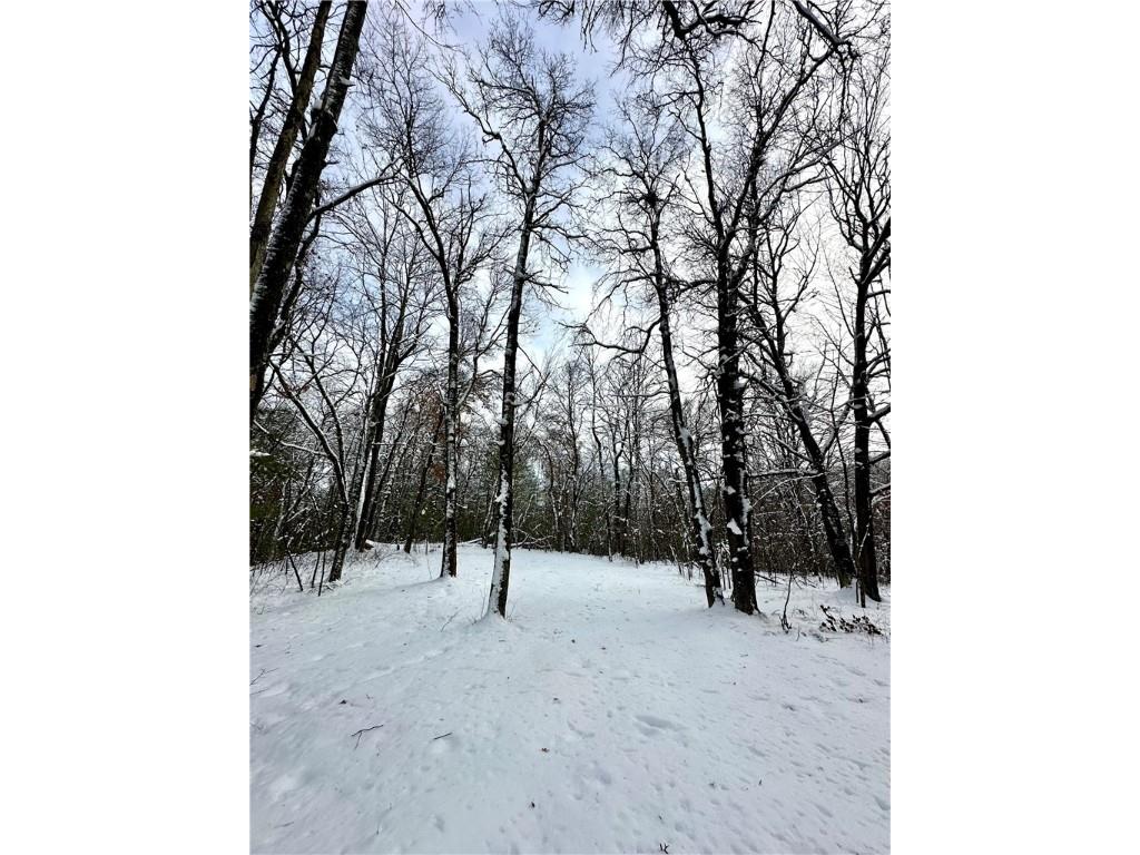 27735 295th Avenue Holcombe WI 54745 1597799 image25