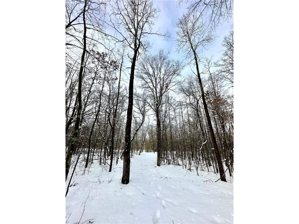 27735 295th Avenue Holcombe WI 54745 1597799 image26