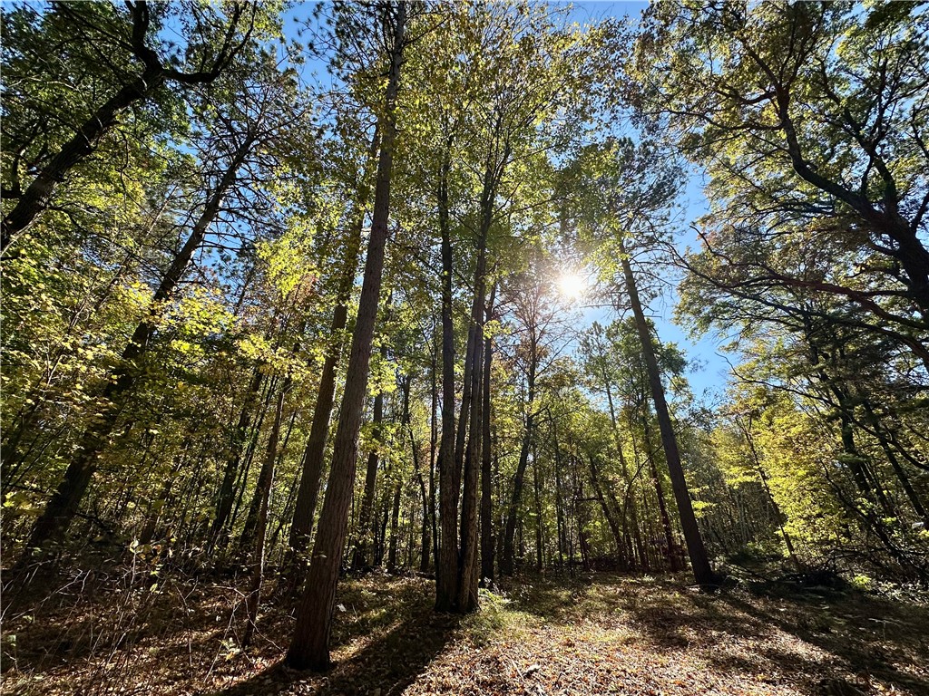 27735 295th Avenue Holcombe WI 54745 1597799 image27