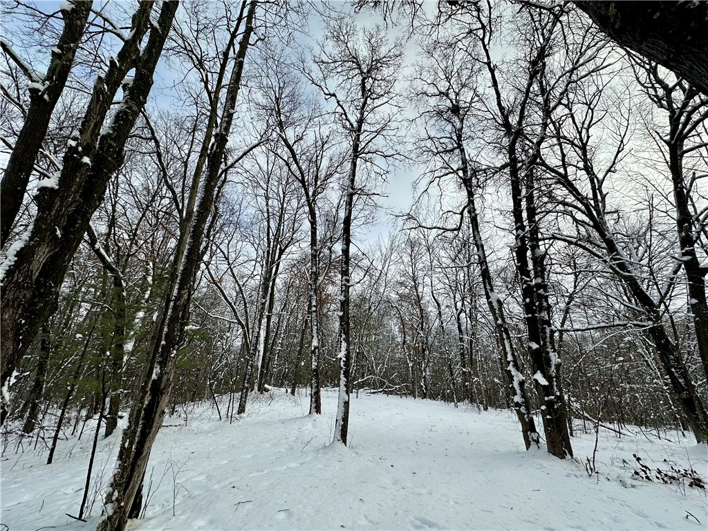 27735 295th Avenue Holcombe WI 54745 1597799 image28