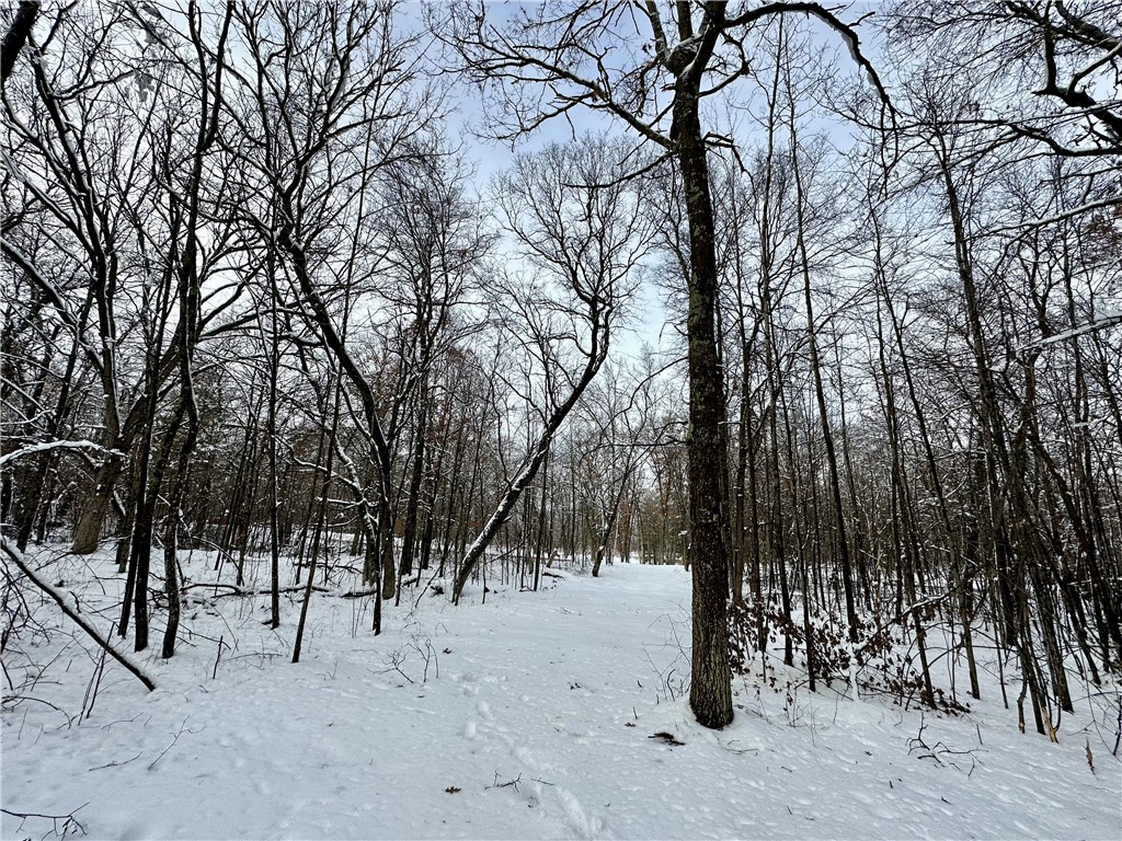 27735 295th Avenue Holcombe WI 54745 1597799 image29