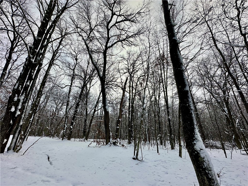 27735 295th Avenue Holcombe WI 54745 1597799 image30