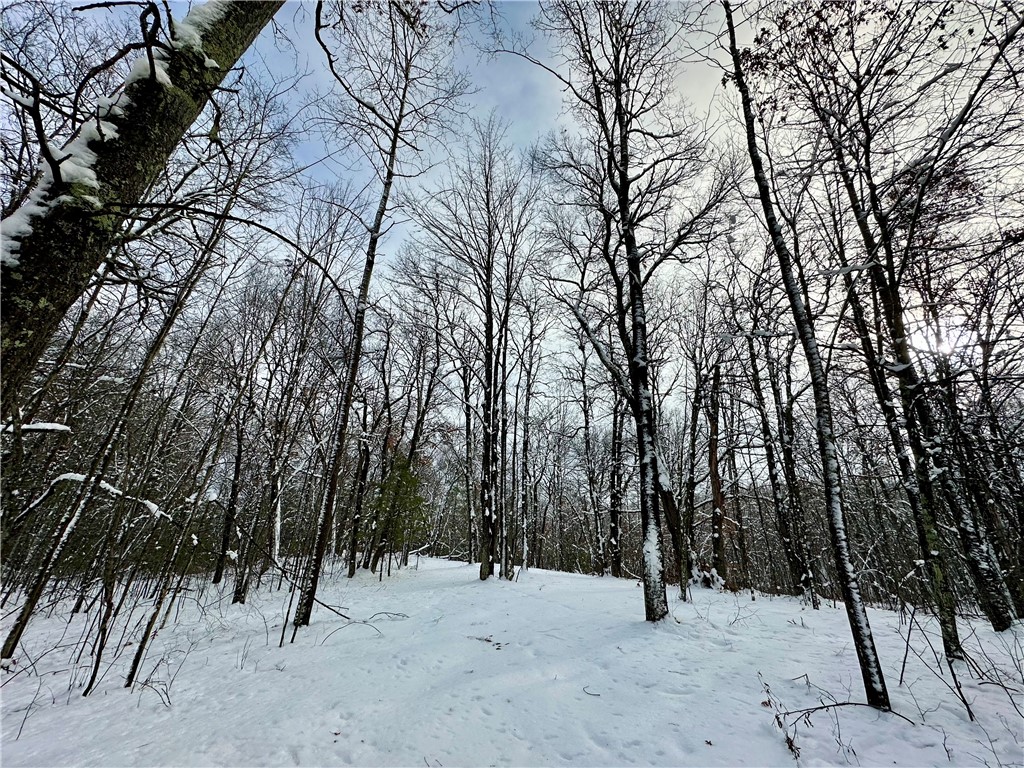 27735 295th Avenue Holcombe WI 54745 1597799 image31