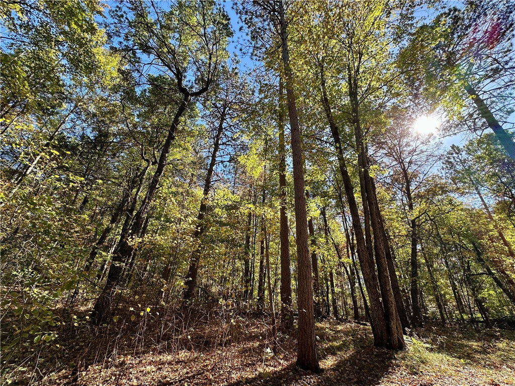 27735 295th Avenue Holcombe WI 54745 1597799 image33