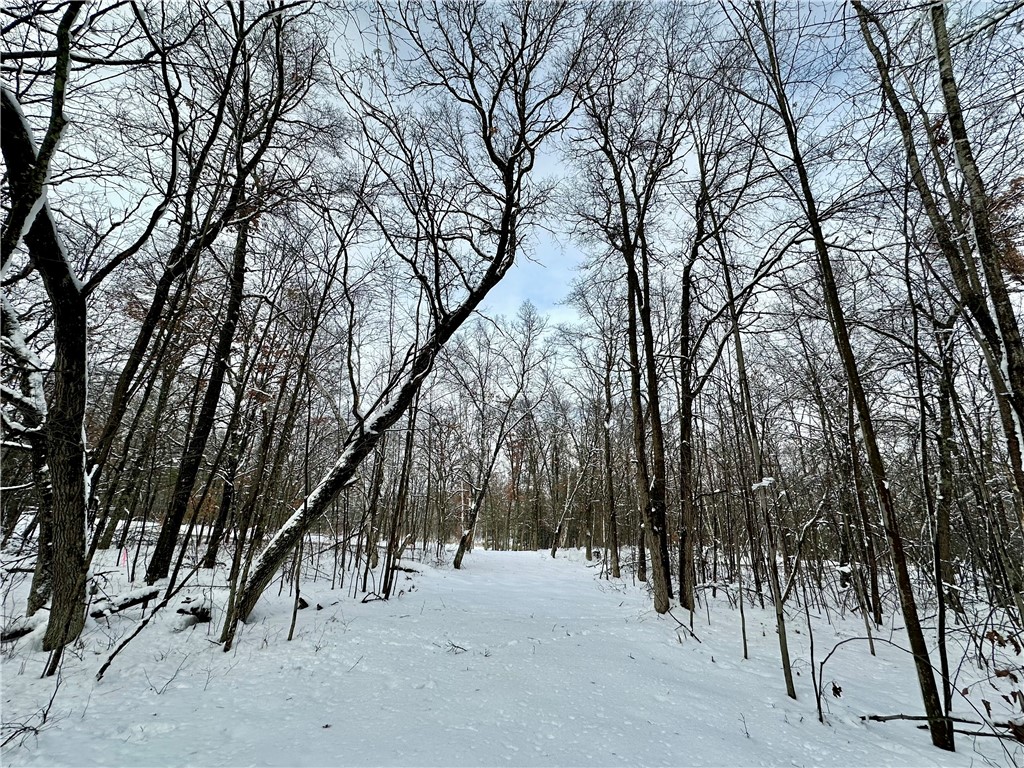 27735 295th Avenue Holcombe WI 54745 1597799 image34