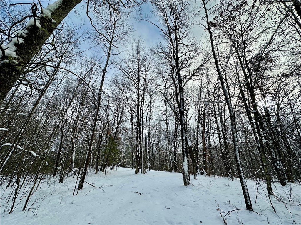 27735 295th Avenue Holcombe WI 54745 1597799 image35