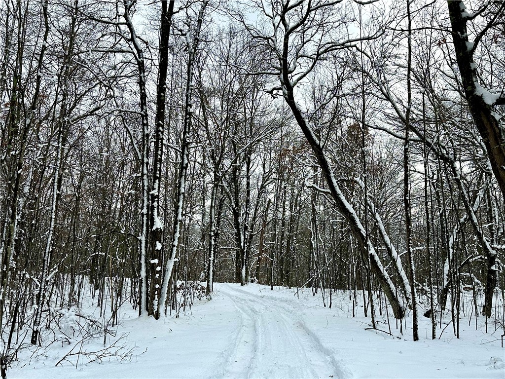 27735 295th Avenue Holcombe WI 54745 1597799 image5