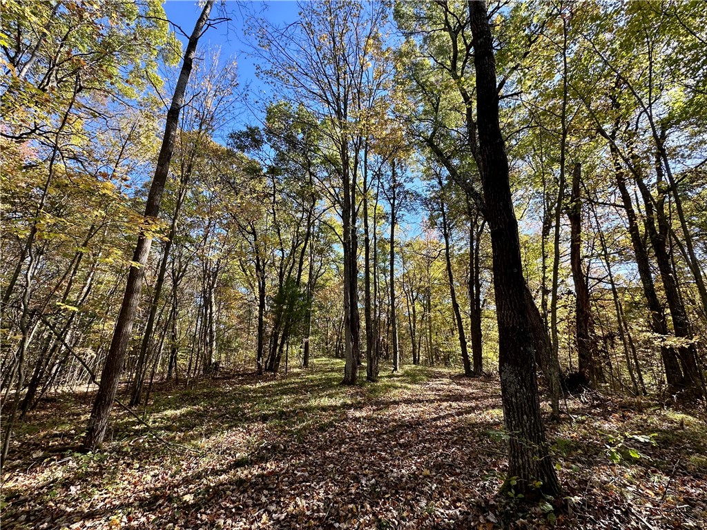 27735 295th Avenue Holcombe WI 54745 1597799 image6