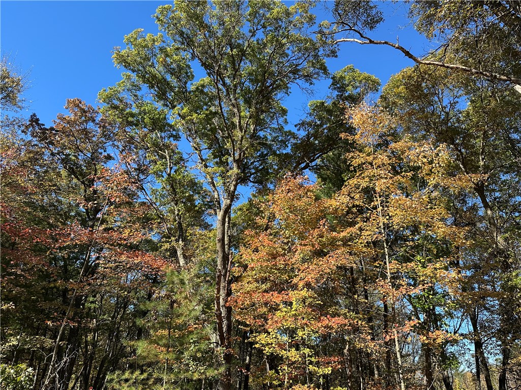 27735 295th Avenue Holcombe WI 54745 1597799 image8