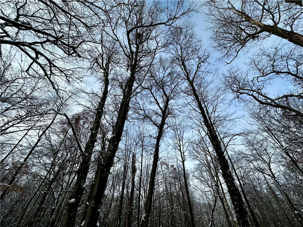 27735 295th Avenue Holcombe WI 54745 1597799 image9