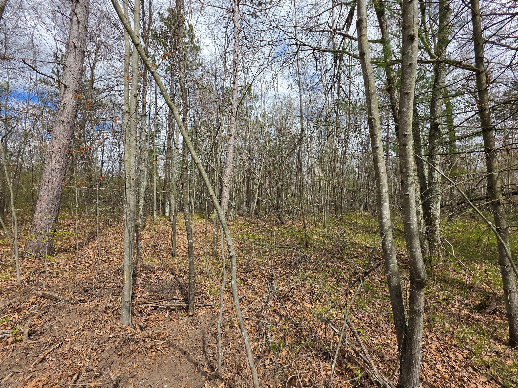 27796 295th Ave Lot 17 Avenue Holcombe WI 54745 1600696 image10